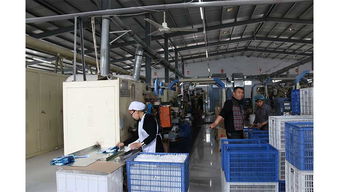 石家莊宏大衛生用品廠 專業技術服務，為您提供全方位衛生保障